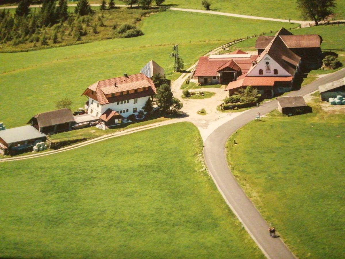 فيلا Zeutschachفي Erholung Am Bauernhof Bei Familie Seidl / Messner المظهر الخارجي الصورة